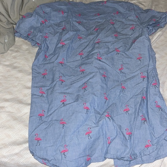 Cactus Boys Blue Flamingo Button Down Shirt - 13/14 - Picture 3 of 3